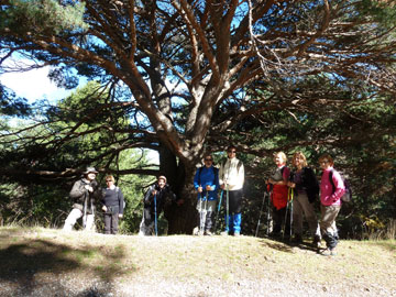 Circular trevenque.