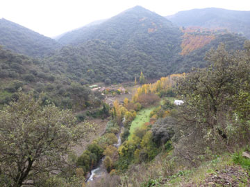 Valle del Genal.