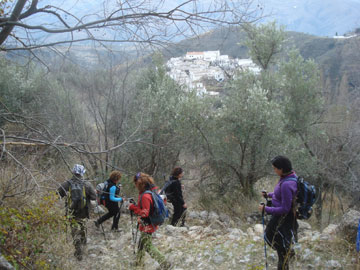 Ruta medieval