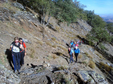 Foto de Grupo