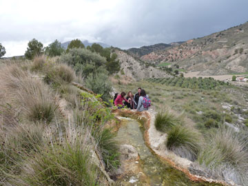 Los coloraos de Gorafe