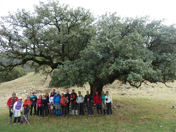 Foto de Grupo