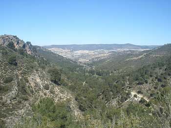 Vistas del Valle