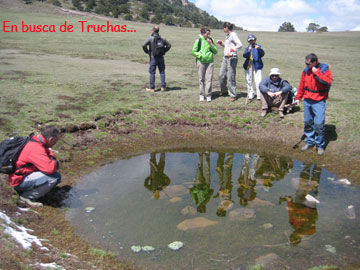 Estanque en Prados del Rey.