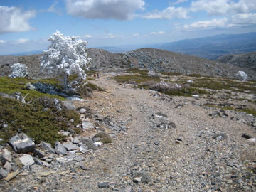 Bonito paisaje.