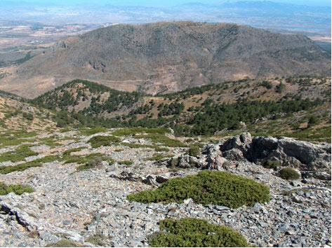 Barranco de El Sabinar (en primer término) y solana del Calar de Quintana al fondo.