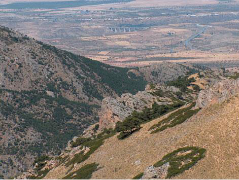 Collado de Cerro Panizo  y Cerro Panizo desde La Boleta. Al fondo, la autopista A-92 y el viaducto del Río de Gor.