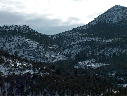 Cerro de Angelillo, Barranco del Peral y Calar de Quintana