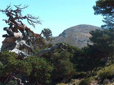 Calar de Santa Bárbara desde La Boleta (cara oeste), en verano.