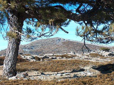 Calar de Santa Bárbara por su cara sur, desde los Llanos de Cocón.