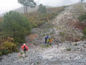 Salida del Cortafuegos