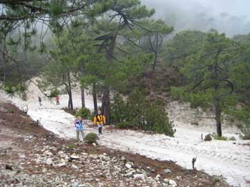 Ascenso hacia el Puerto de Frigiliana