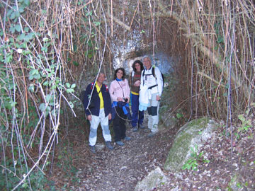 Zona Pantanosa.