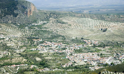 Olivares.