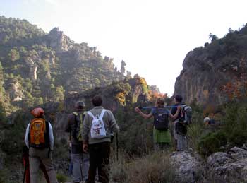Caballos de Ajedrez.