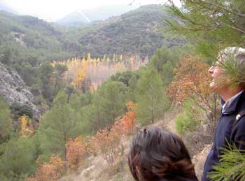 Colores de Otoño.