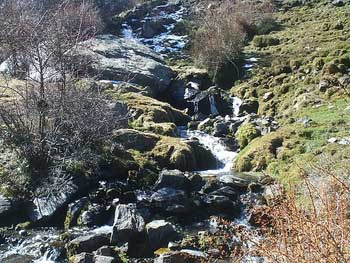 Arroyos y Cascadas
