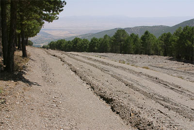 Cortafuegos.