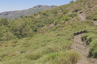 Loma del Garbanzal.