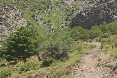 Barranco del Sabinar.
