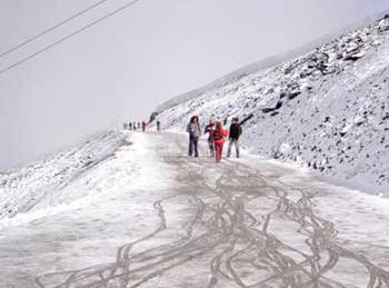 Nieve
