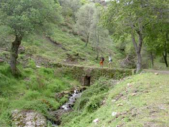 Maravillas de la naturaleza