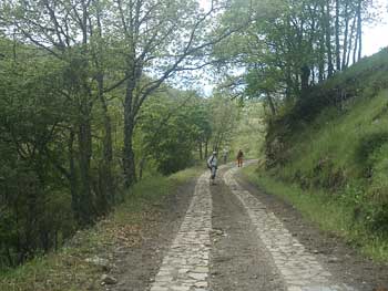Maravillas de la naturaleza