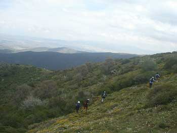 Maravillas de la naturaleza
