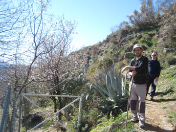 Huertas con almendros, chumberas.