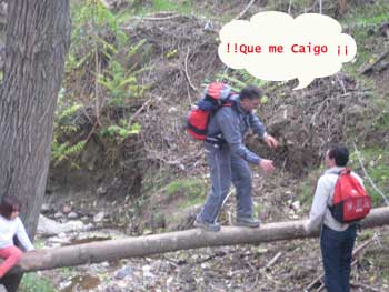 Son como niños.