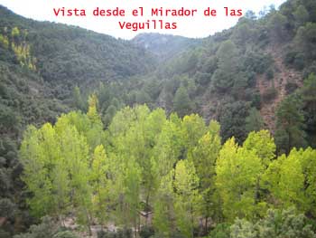Mirador de las Veguillas.
