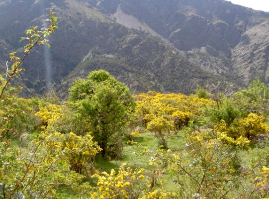 Paisaje muy característico.