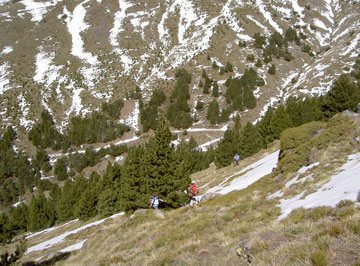 Trochando por mitad del campo.
