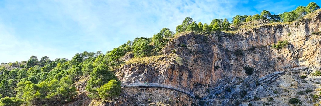 Próxima salida Canillas del Aceituno – Puente colgante del Saltillo