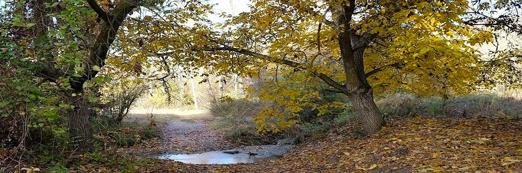 Ruta Beas de Granada a Granada