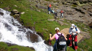 18cpiconjerez2015-18                   