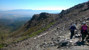 19cpiconjerez2015-19                  