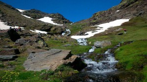 20cpiconjerez2015-20                   