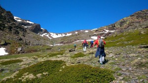 23cpiconjerez2015-23                 