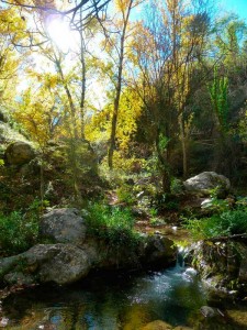 33  Paseo por Cazorla         