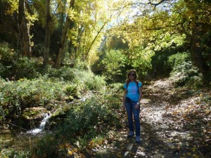 35  Paseo por Cazorla     