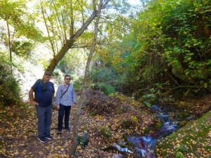 36  Paseo por Cazorla    
