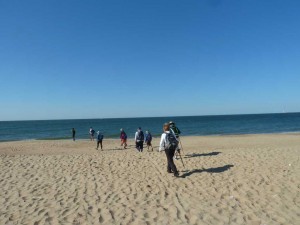 Huelva2016-29