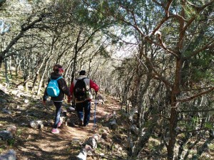 despenaperros2016-19 