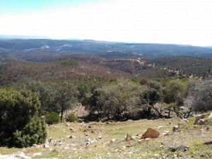 despenaperros2016-24 