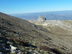 2016espantabellacos-18 