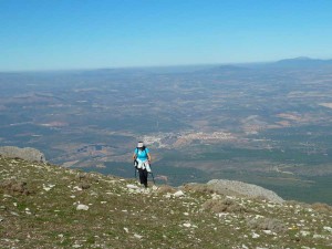 2016espantabellacos-19 