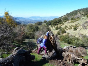 smagina2016-08 