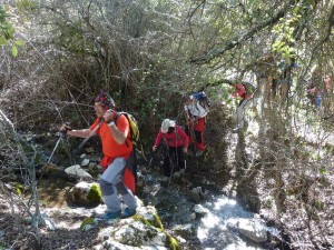smagina2016-10 