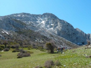 smagina2016-15 